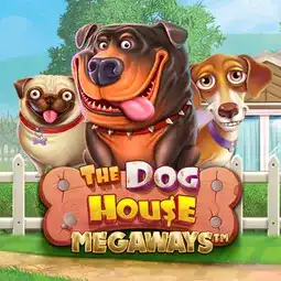 The Dog House Megaways game at Spinbit Casino for Australian players