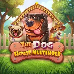 The Dog House Multihold game at Spinbit Casino for Australian players